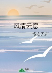 风清云意