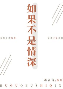 《如果不是情饵》