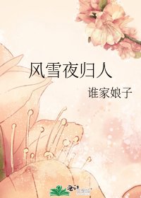 风雪夜归人