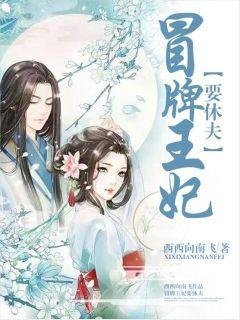《冒牌王妃要休夫》
