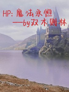 (HP同人)HP:魔法永恒
