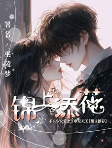 锦上添花