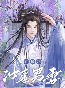 (红楼梦同人)红楼之冲喜男妻