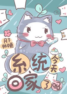 《系统今天回家了吗》