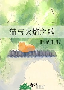 猫与火焰之歌