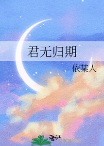 君无归期