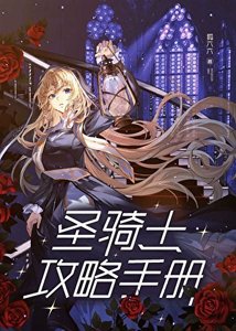 《聖騎士攻略手冊》