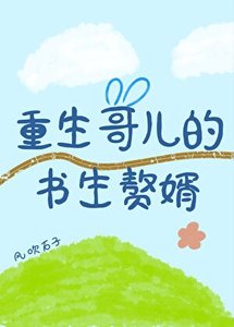 《重生哥兒的書生贅婿》
