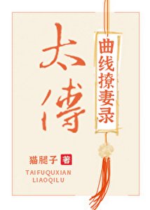 太傅曲線撩妻錄