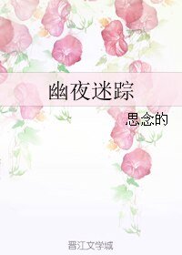 《幽夜迷踪》