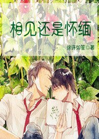 相见还是怀缅